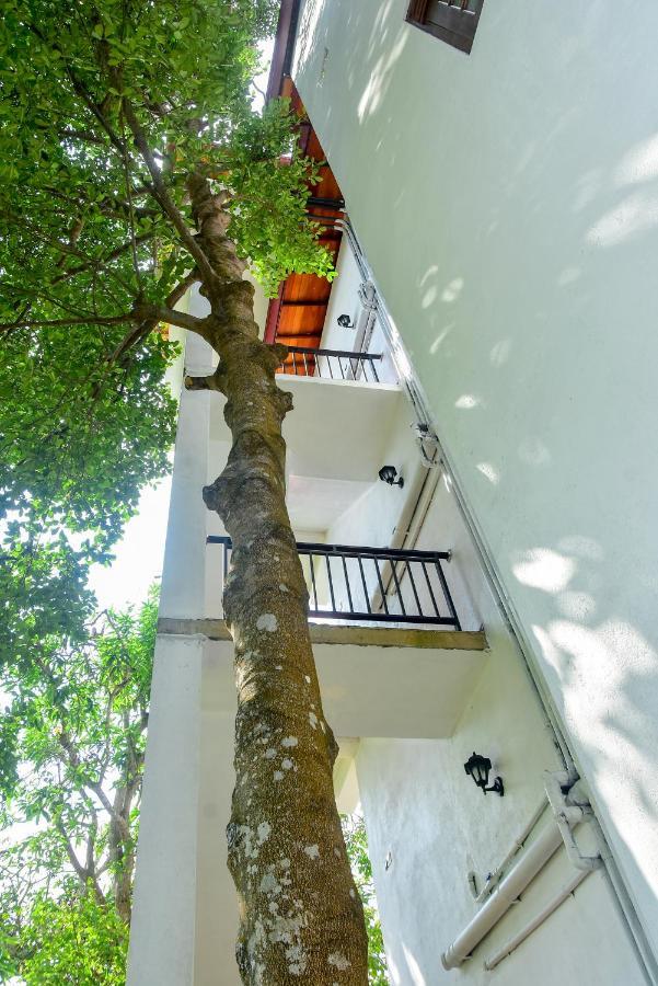 Villa Araliya Hikkaduwa Zewnętrze zdjęcie